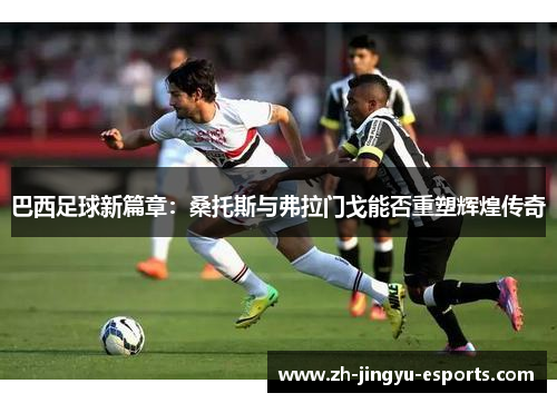 巴西足球新篇章：桑托斯与弗拉门戈能否重塑辉煌传奇